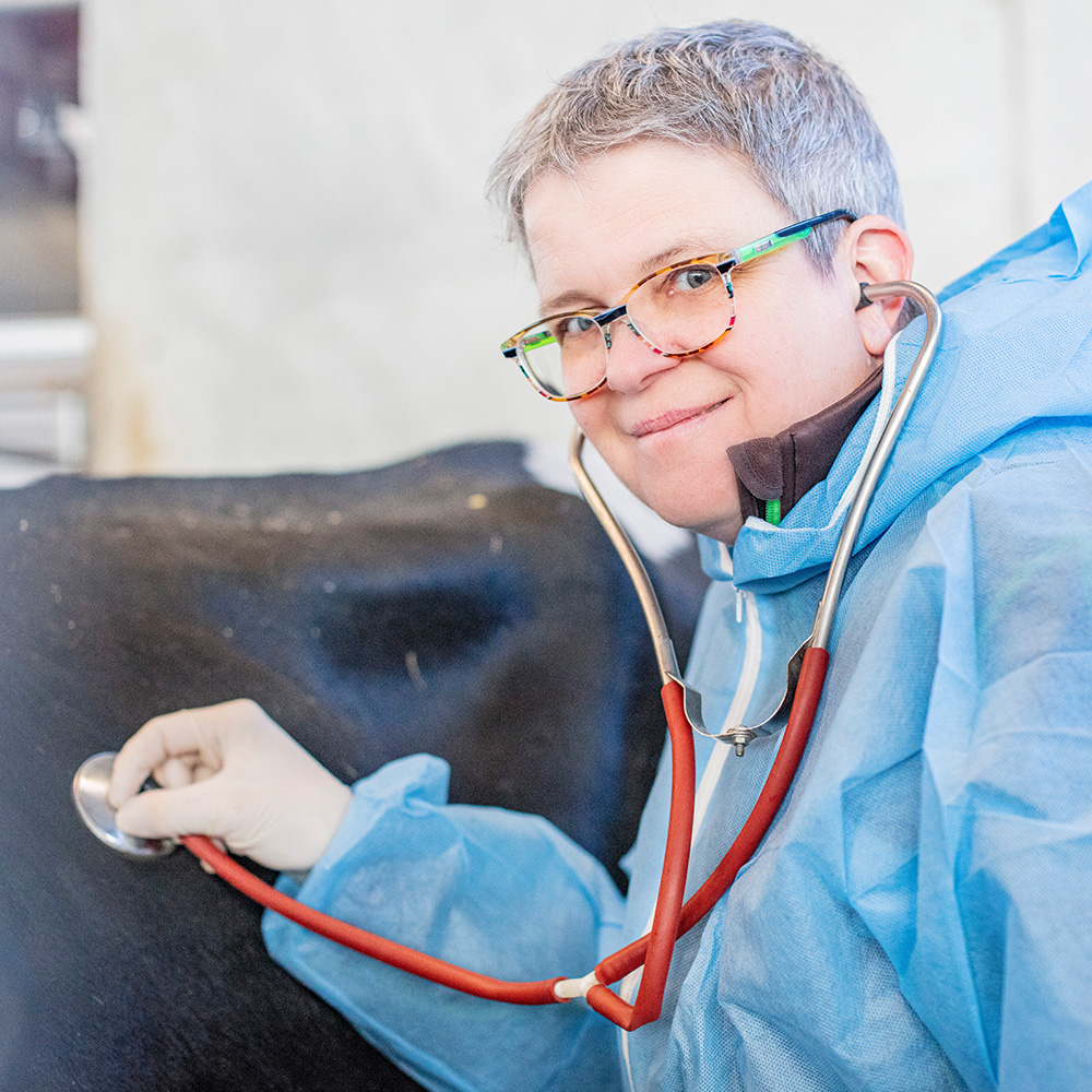 Tierärztin, Behandlung, Diagnostik, Nutztiere, Nutztierpraxis Hausen am Bussen