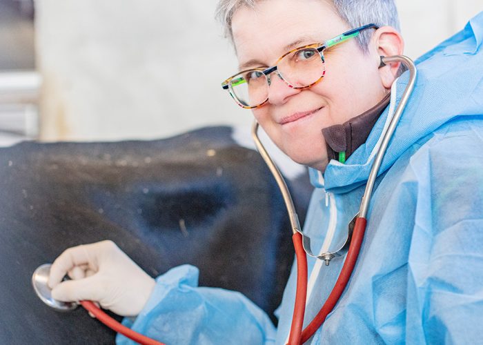 Tierärztin, Behandlung, Diagnostik, Nutztiere, Nutztierpraxis Hausen am Bussen