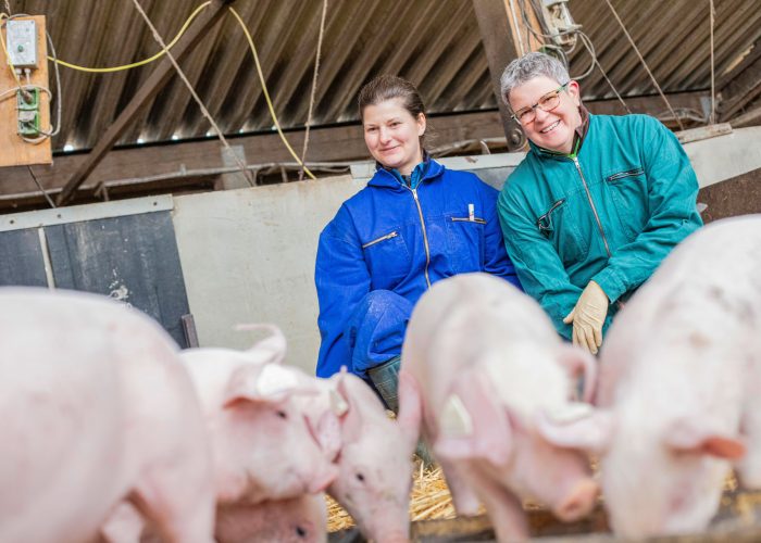 Tierärztinnen, Ferkel, Schwein, Nutztierpraxis Hausen am Bussen, tierärztliche Versorgung von Nutztieren
