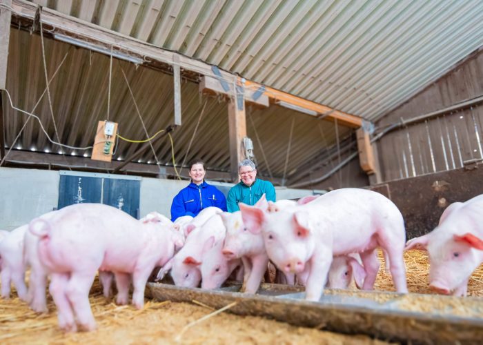 Tierärztinnen betreuen Ferkel und Schweine in der Nutztierpraxis Hausen am Bussen, spezialisiert auf die tierärztliche Versorgung von Nutzieren