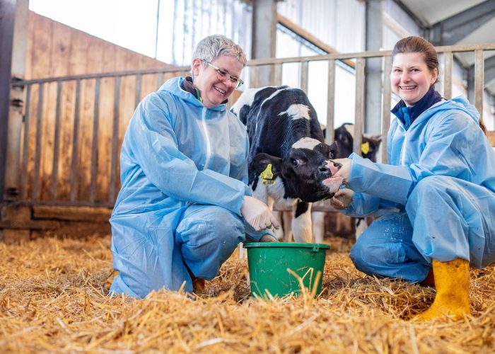 Tierärztinnen, darunter Dr. Bantle, füttern eine Kuh in der Nutztierpraxis Hausen am Bussen, engagierte tierärztliche Betreuung von Nutztieren.